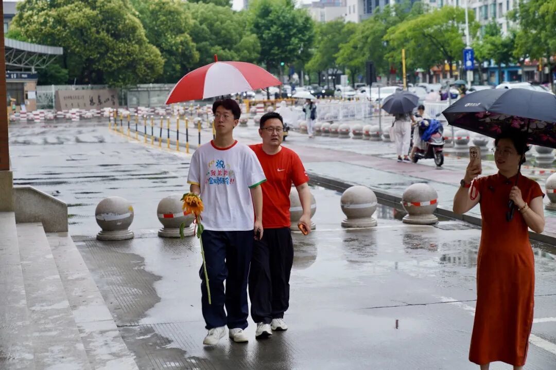 17267106354116.jpeg 图片
