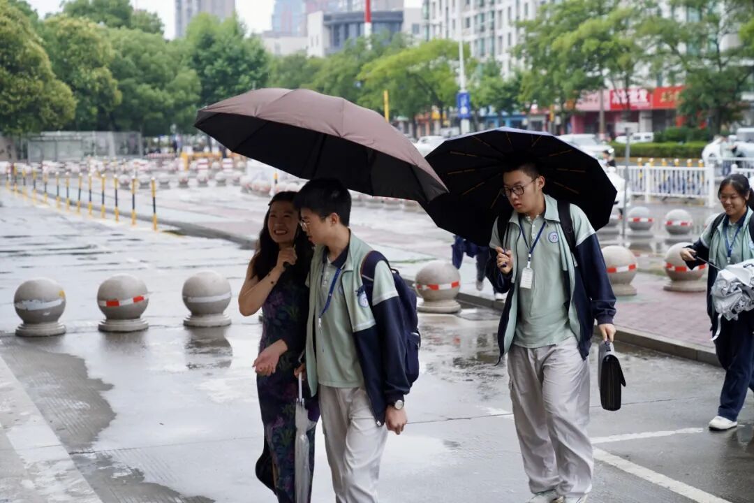 17267106354117.jpeg 图片