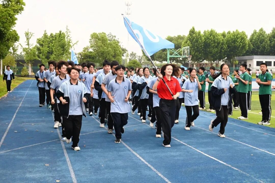 17267106440145.jpeg 图片
