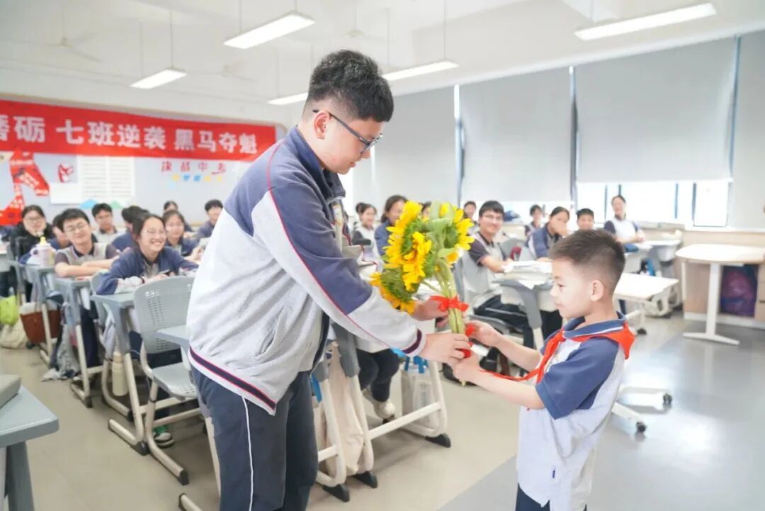 17267106516356.jpeg 图片