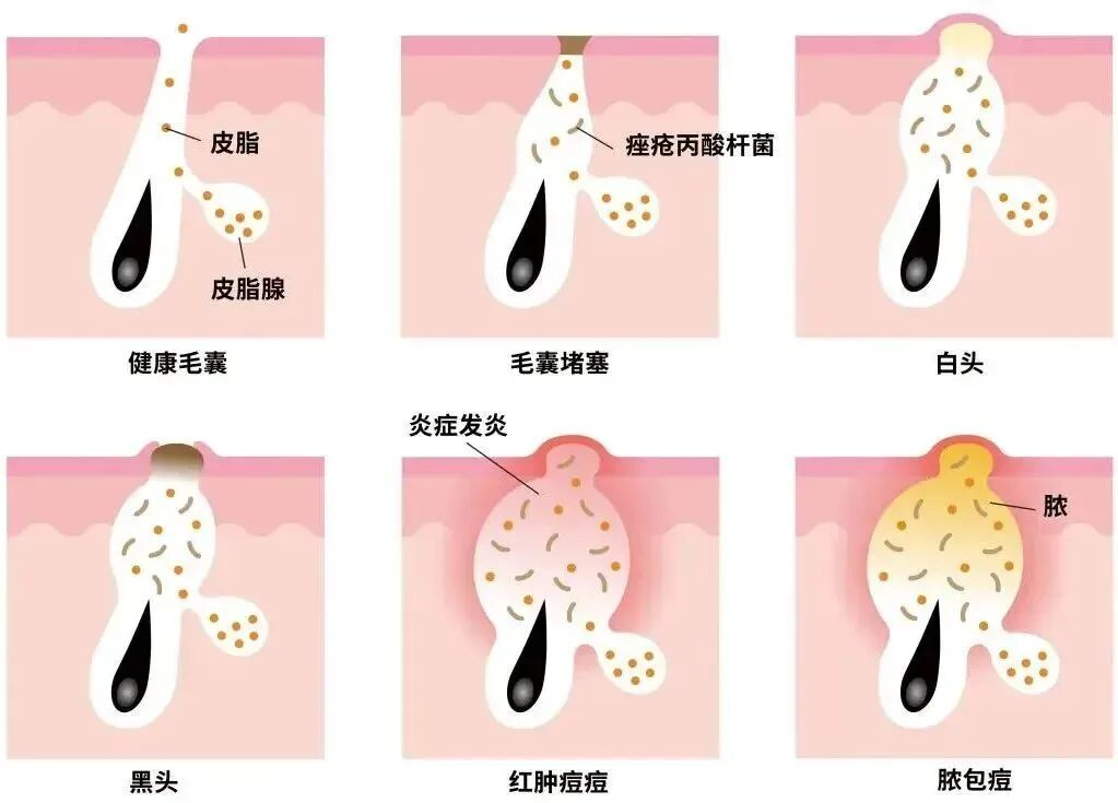 16620869551046.png 图片