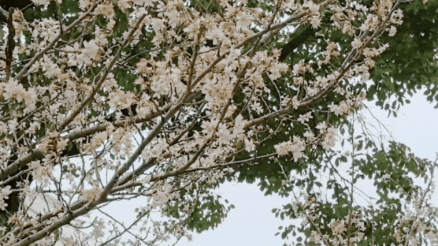 16703094777680.gif 图片