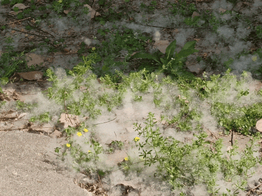 16870495365905.gif