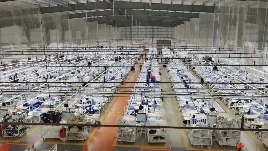 16233798345489.jpeg 图片