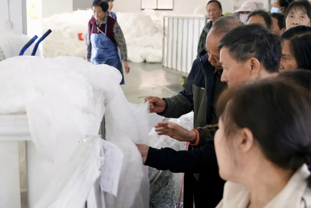 16952865664708.webp 图片
