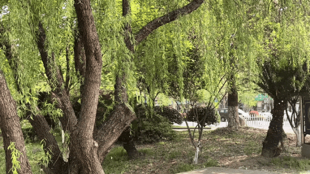 https://images.weserv.nl/?url=https://mmbiz.qpic.cn/mmbiz_gif/bCFr8VypWfwHyHDNwMq5UxukYUmGtibibtFze5vtIWlM4V1BWoGYS3MzBxjDVGse0D9FNKCyV2V5npMkiavcRXmSw/640?wx_fmt=gif&from=appmsg&tp=wxpic&wxfrom=5&wx_lazy=1 图片