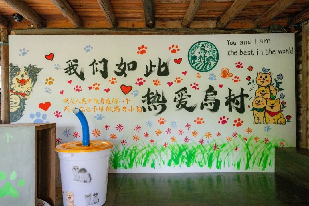 15840152538054.jpeg 图片