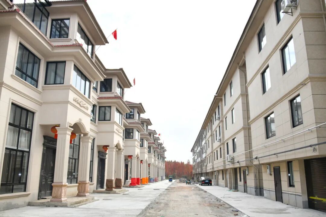 16249421035844.jpeg 图片