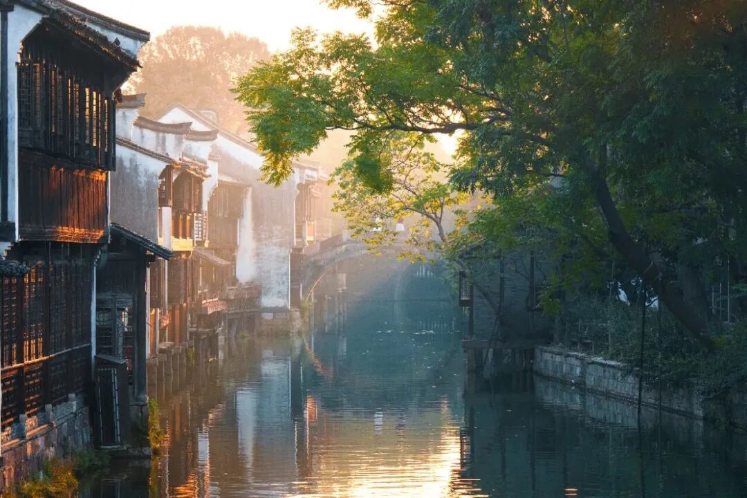 16260870043077.jpeg 图片