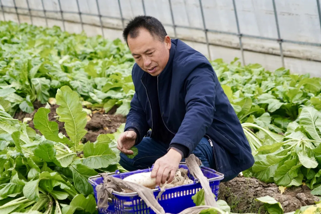 16349510045444.webp 图片