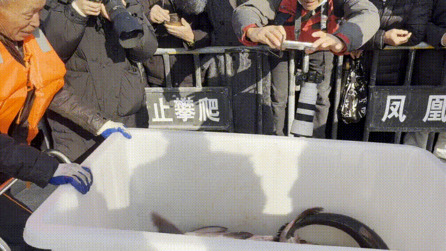 16377438722321.gif 图片