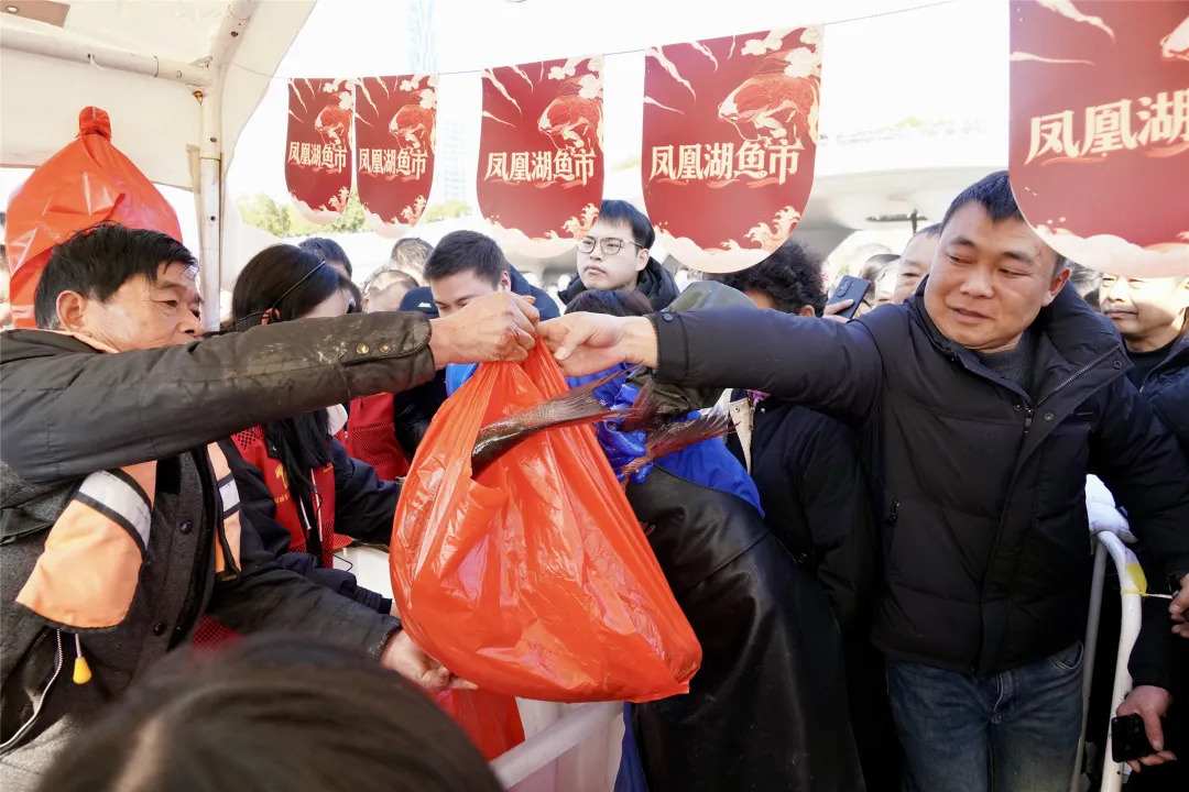 16377438795601.webp 图片