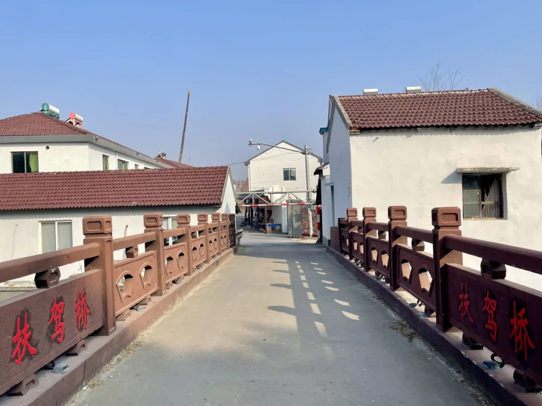 16384682702150.webp 图片