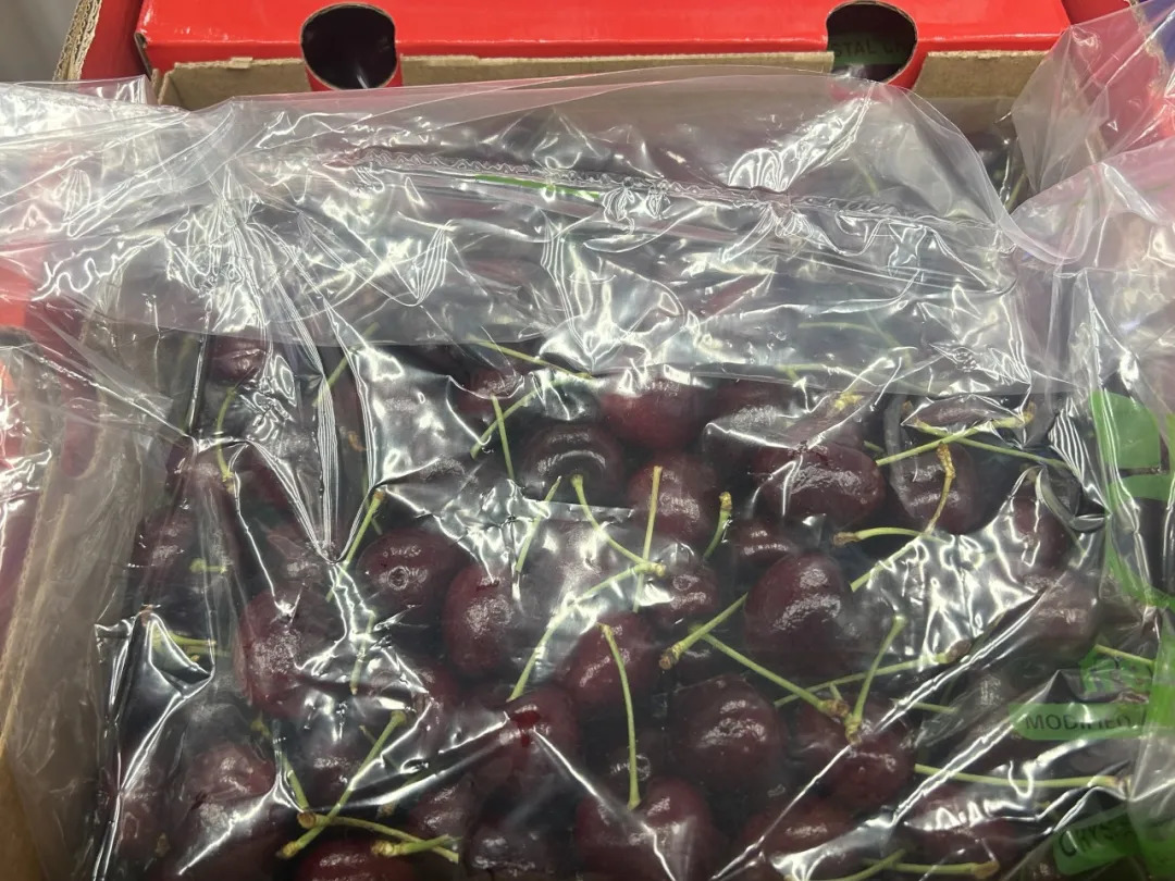 16389120633170.webp 图片