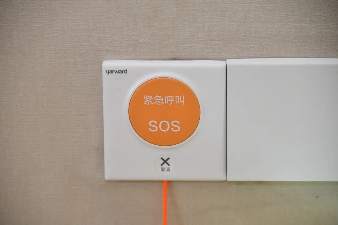 16400371823556.jpeg 图片