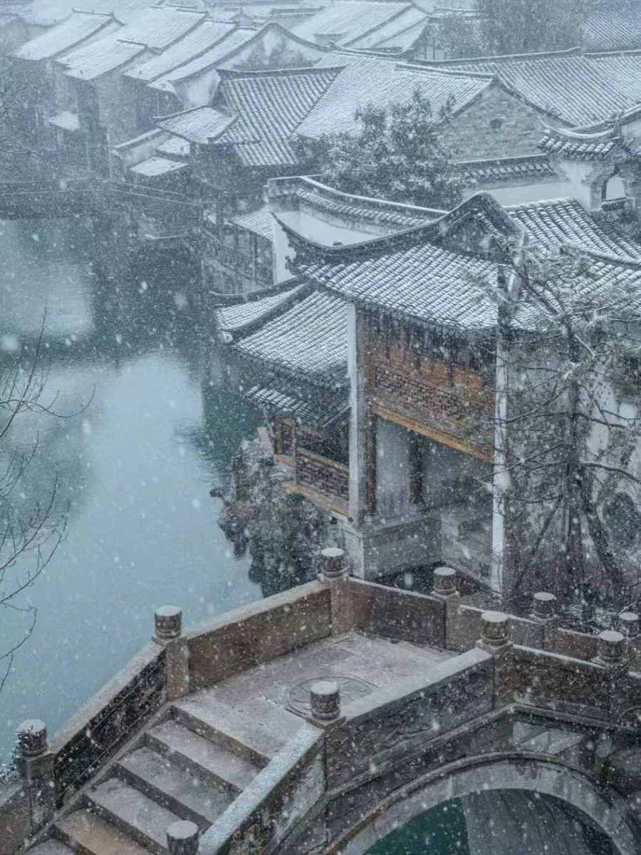 16434406212624.webp 图片