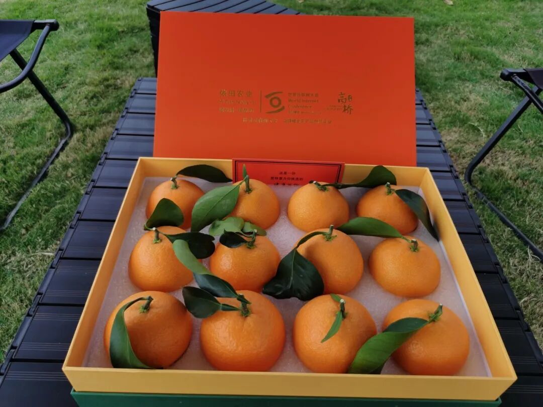 16520351525444.jpeg 图片