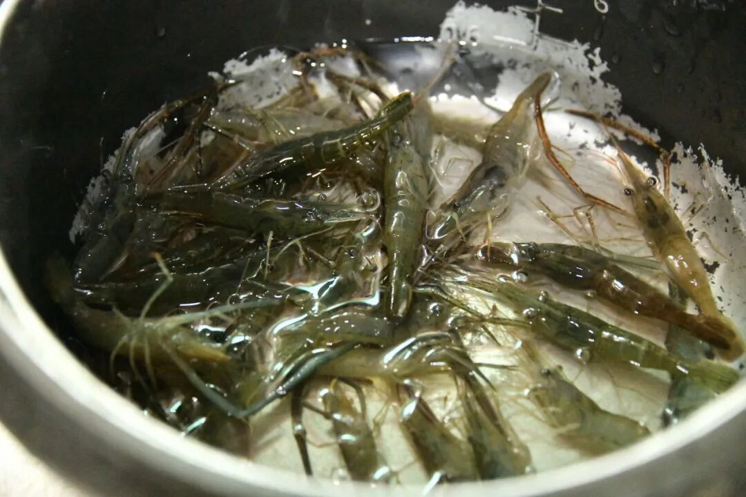 16542838825988.jpeg 图片