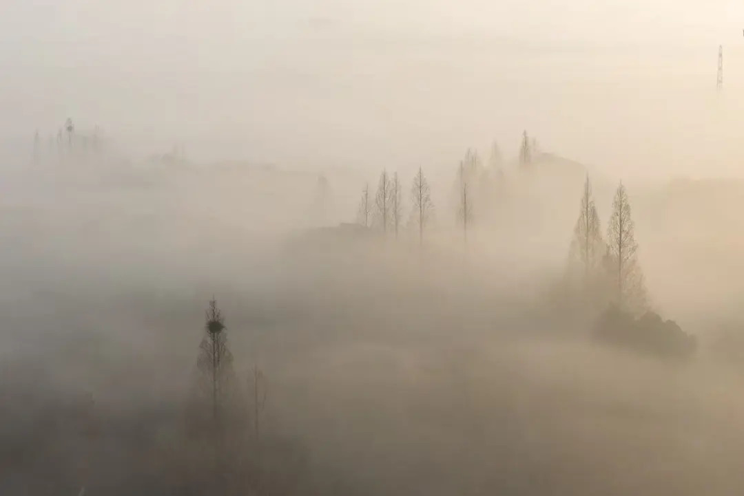 16559384974853.webp 图片