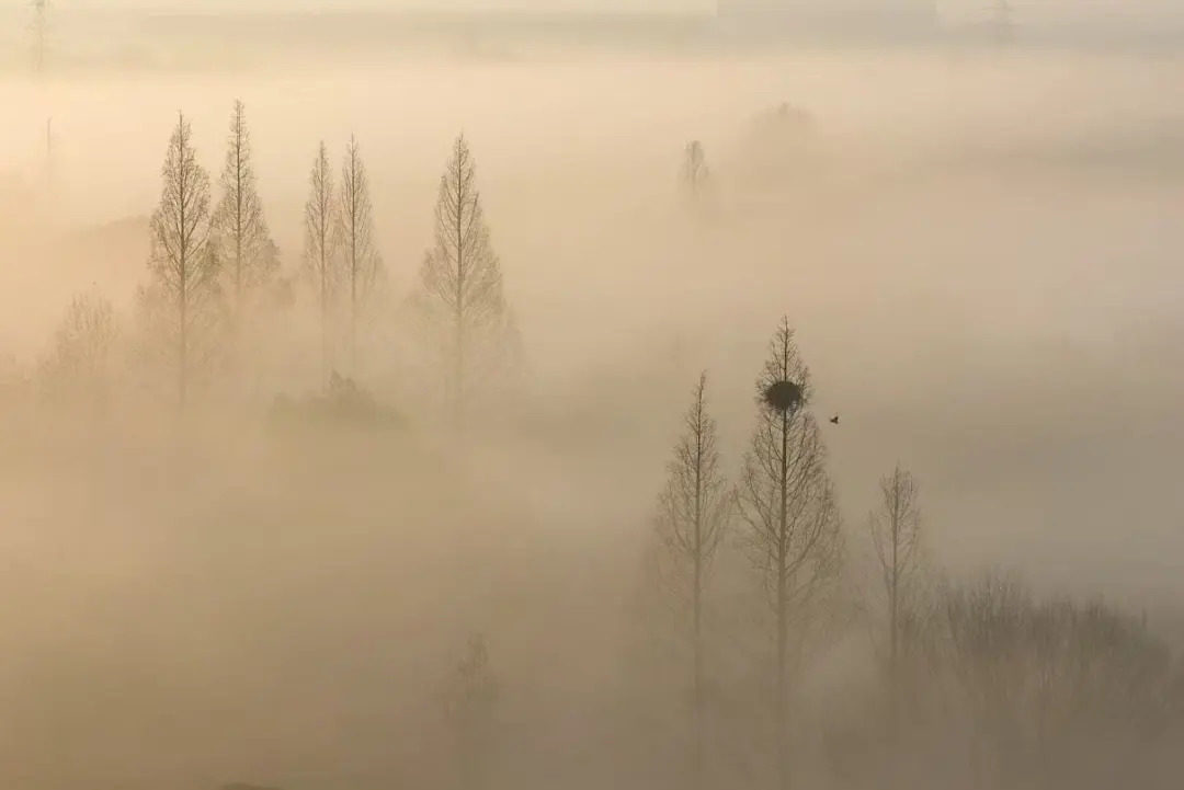 16559384974854.webp 图片