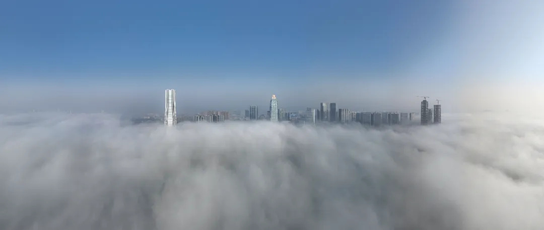 16559385013968.webp 图片