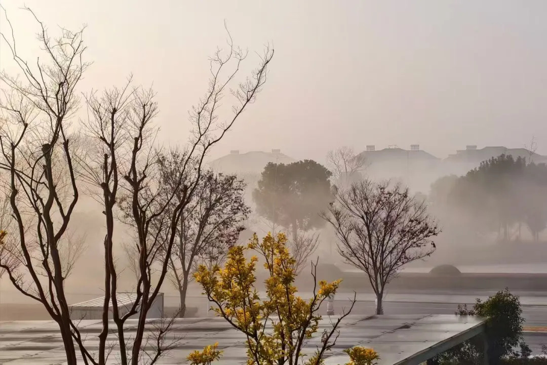 16559385013970.webp 图片