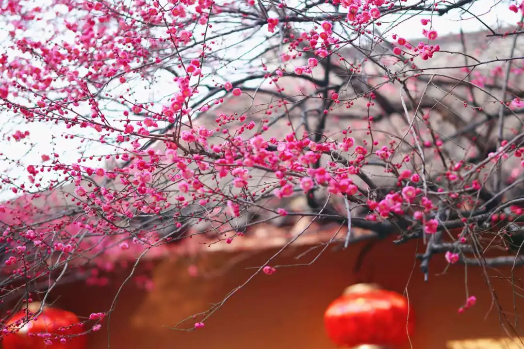 16566139721808.webp 图片