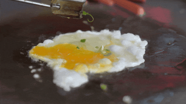 16642345199621.gif 图片