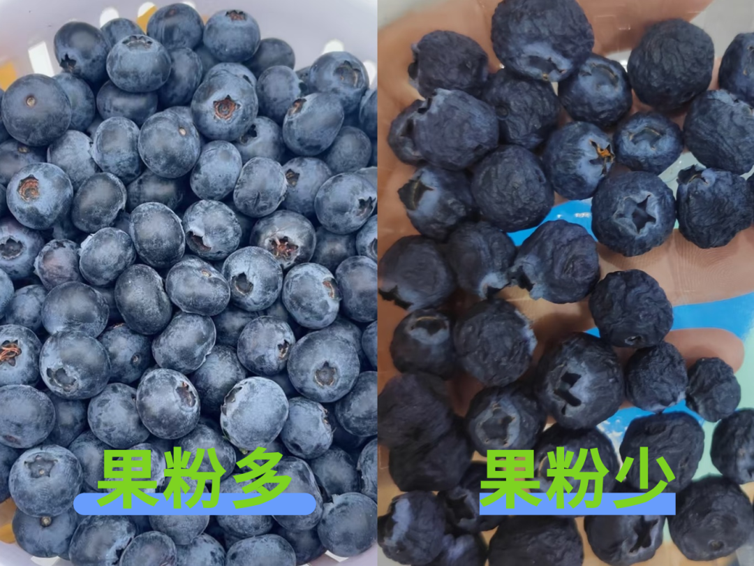 16700047700421.png 图片