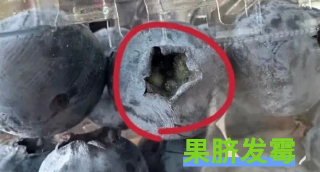 16700047700422.png 图片