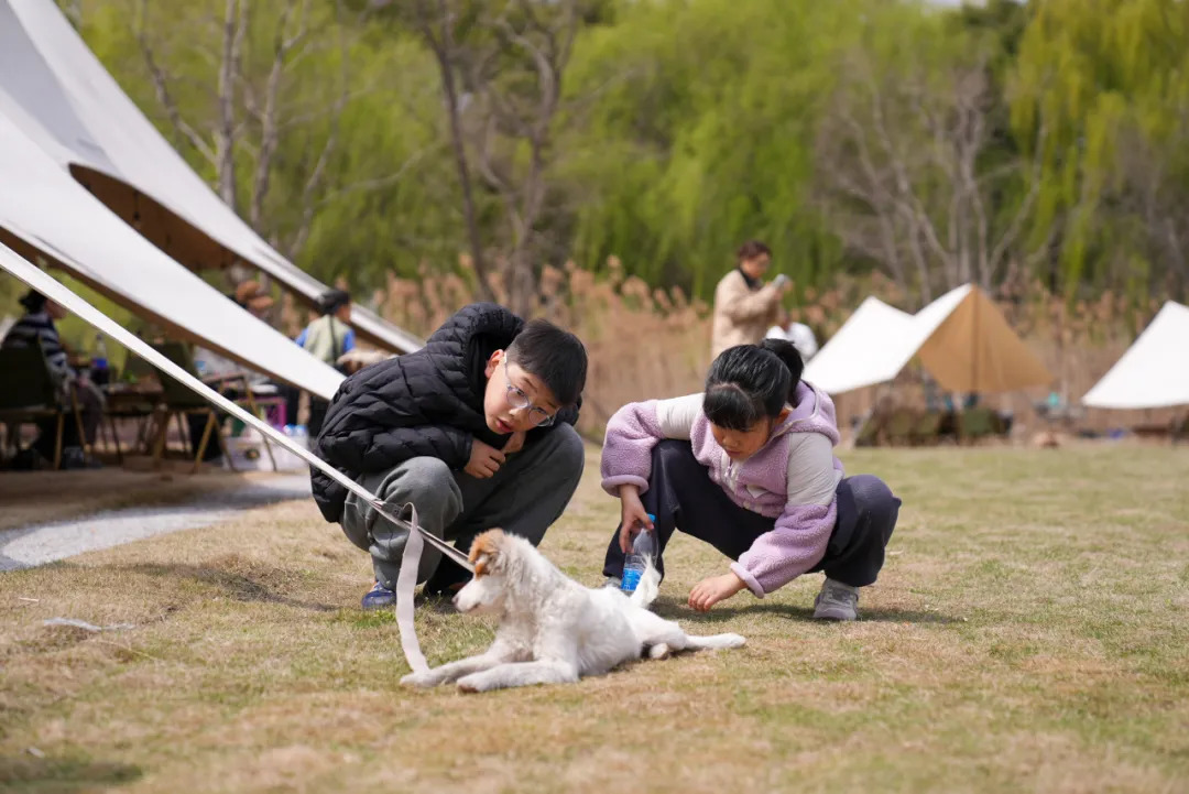 16765810866577.webp 图片