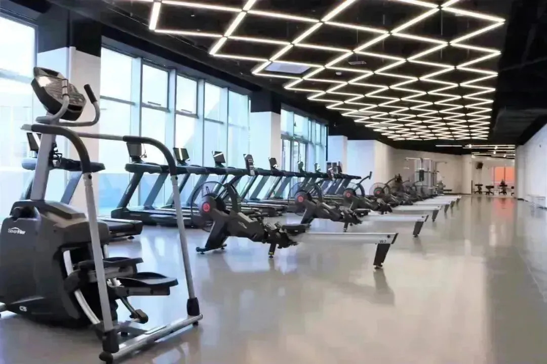 16832446624645.webp 图片
