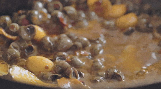 16831169207557.gif 图片