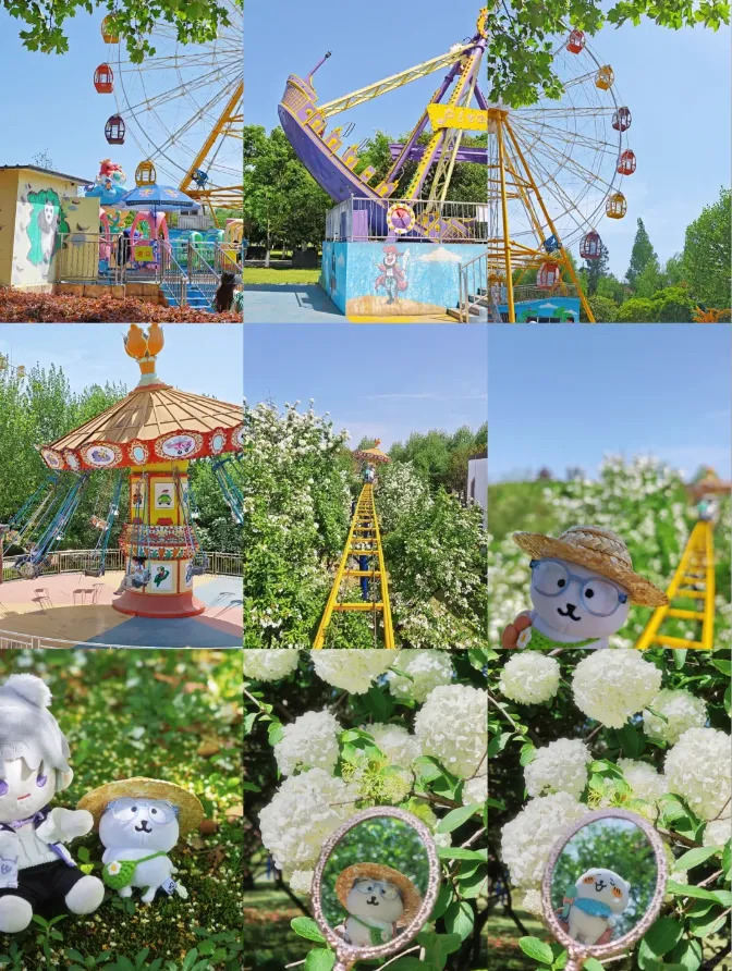 16879875599686.webp 图片