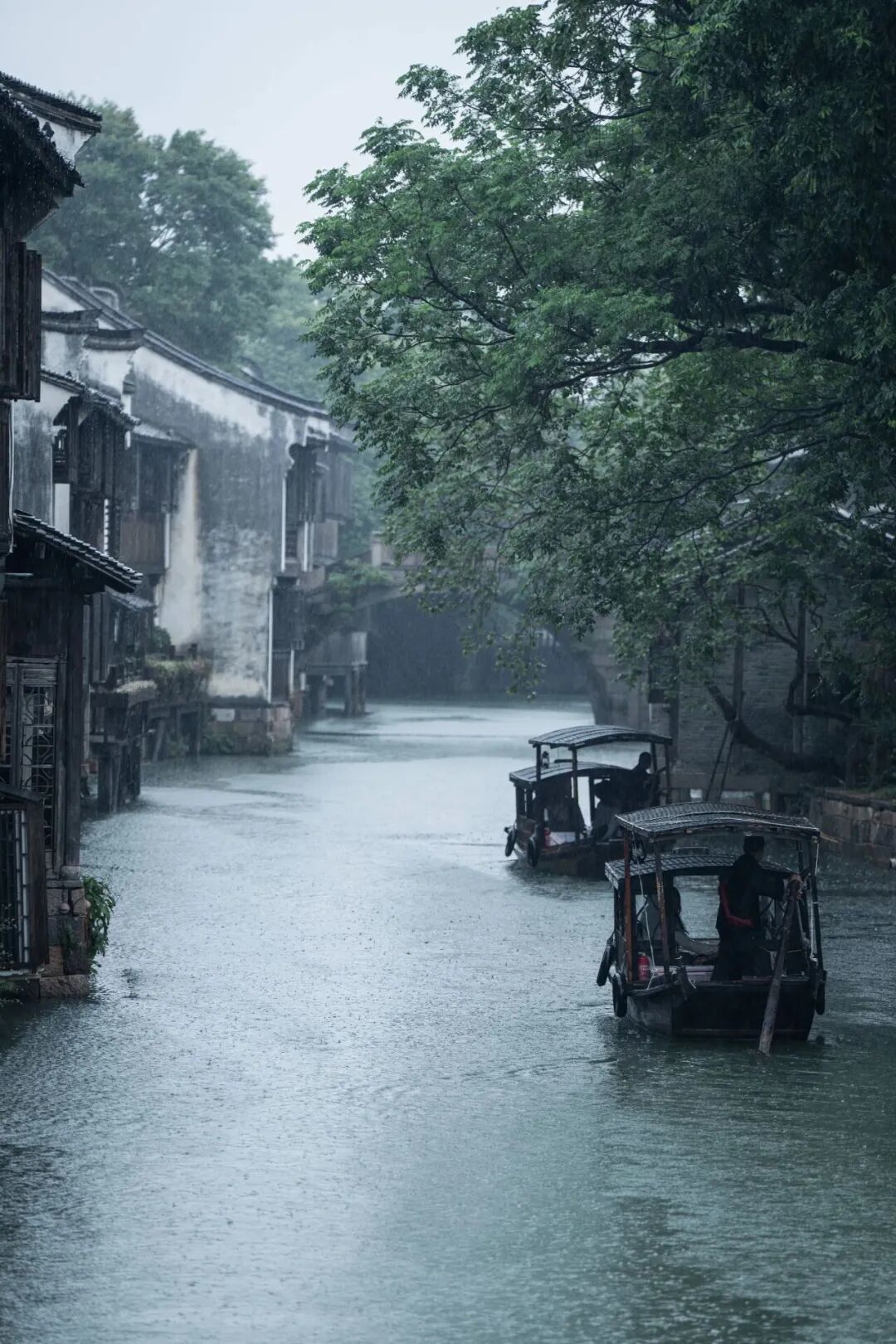 16902197552465.jpeg 图片
