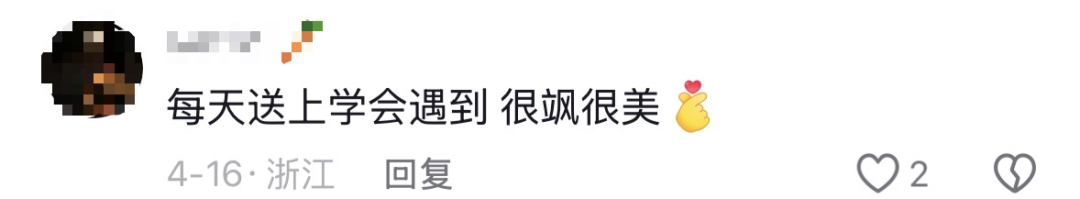 16970069984709.png 图片