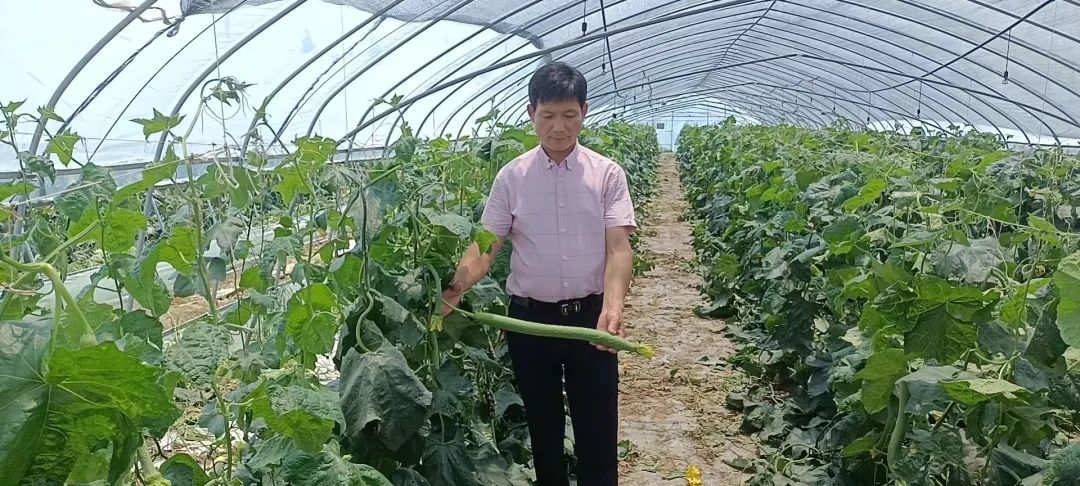 9f312886eb91efff3911b8e6e2e6074.jpg 图片