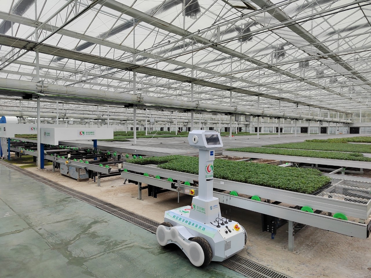 桐乡这些未来农场,数字农业工厂,你去过吗?