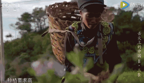 16913498802694.gif 图片
