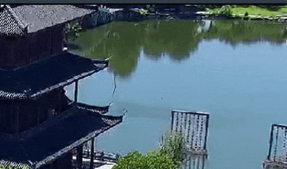 https://images.weserv.nl/?url=https://mmbiz.qpic.cn/mmbiz_gif/bCFr8VypWfzo8jdQicE1VhFzhibzNB3o8ibLXx5ibBSzSiakicmfjAc51xNn8sz9SgpOOFIexx2IbicGN5brwh1KWNdJg/640?wx_fmt=gif&from=appmsg&tp=wxpic&wxfrom=5&wx_lazy=1 图片