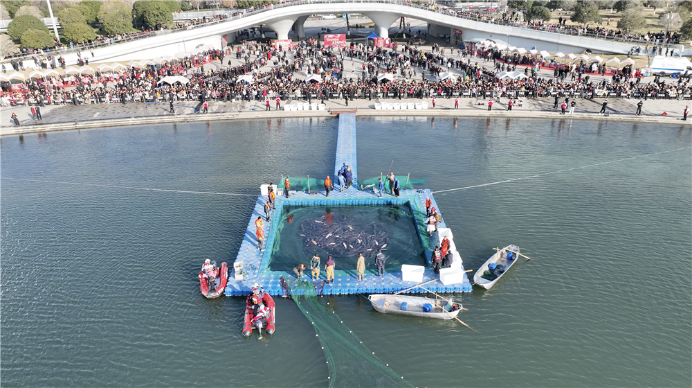 16388532818948.png 图片