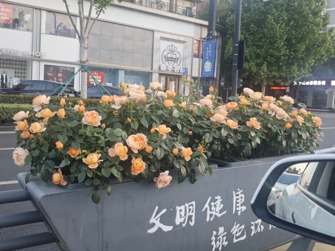 16990988315524.jpeg 图片