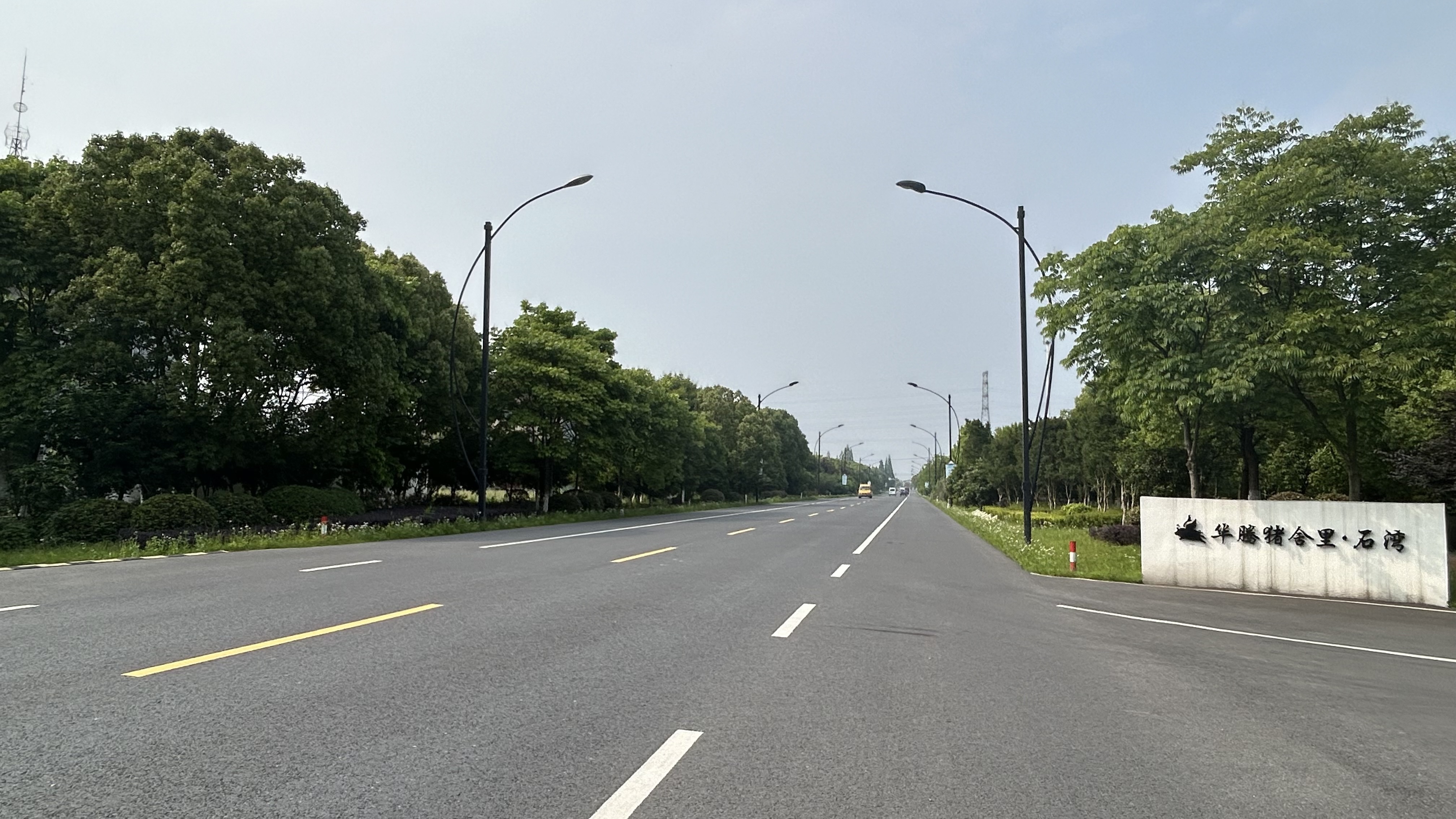 桐乡这条美丽农村路,上榜省级名单!