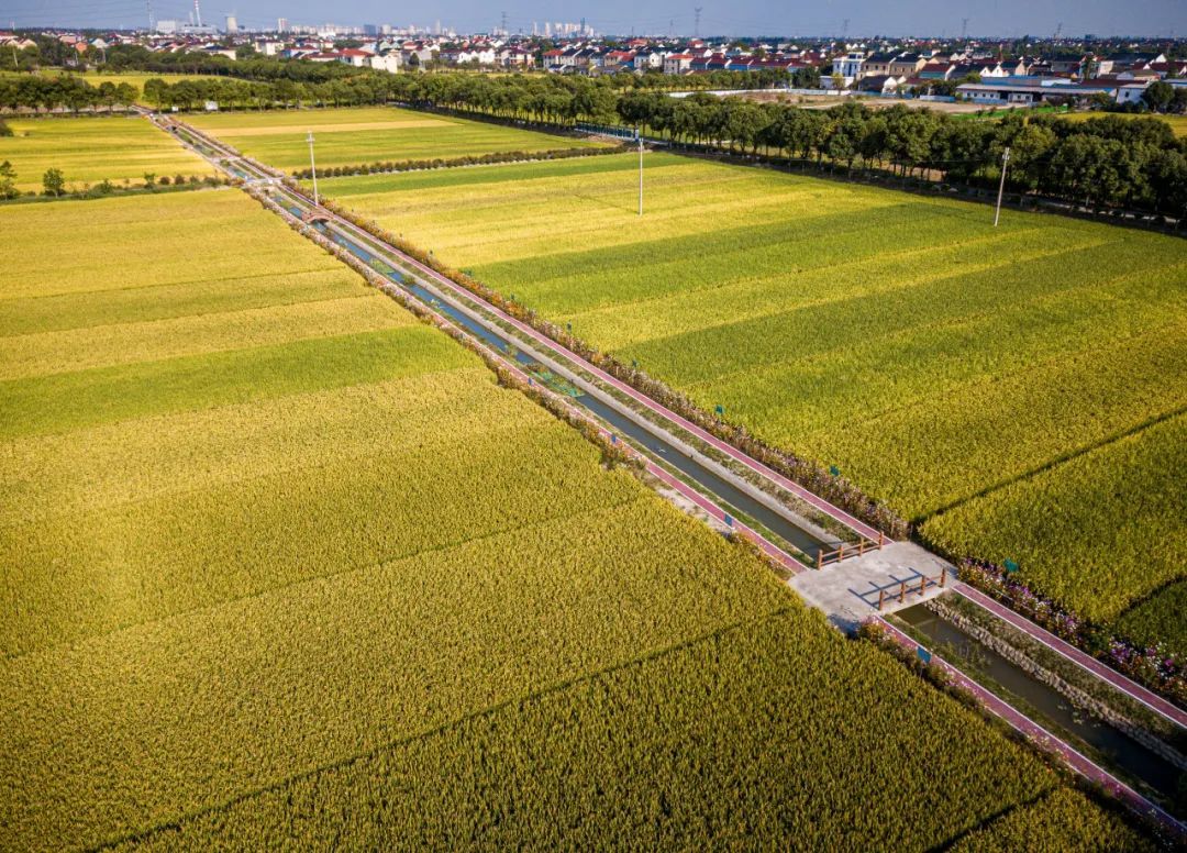 https://images.weserv.nl/?url=https://mmbiz.qpic.cn/mmbiz_jpg/bCFr8VypWfzMTtwbA3cxt3A8KhCGwOJGopicPdlMapqakicT9koDURhvuS1HiaZLj7fQ2lPOgcnDchQtwlXvemvpw/640?wx_fmt=jpeg&from=appmsg