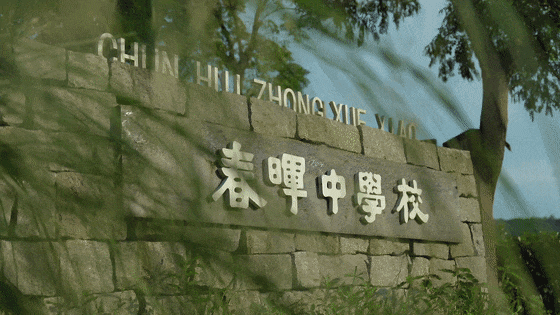 15725326555972.gif