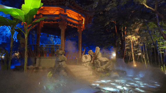 15776421575620.gif