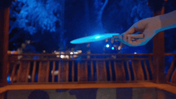 15776421575621.gif