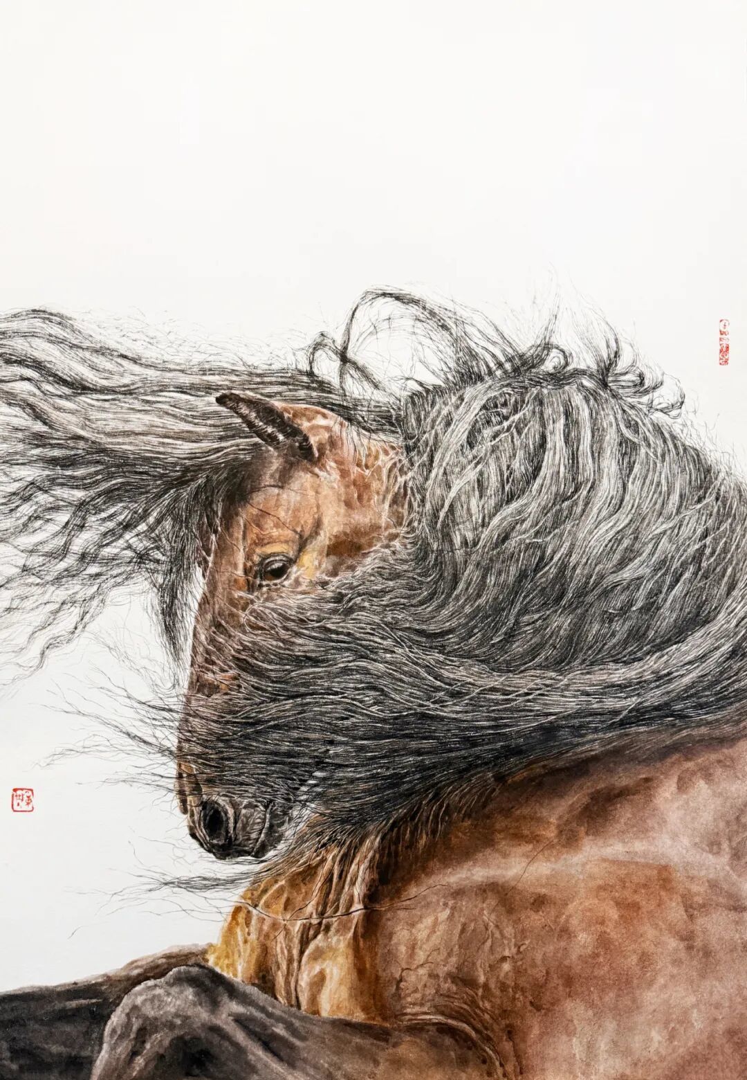 15928750500742.jpeg 图片
