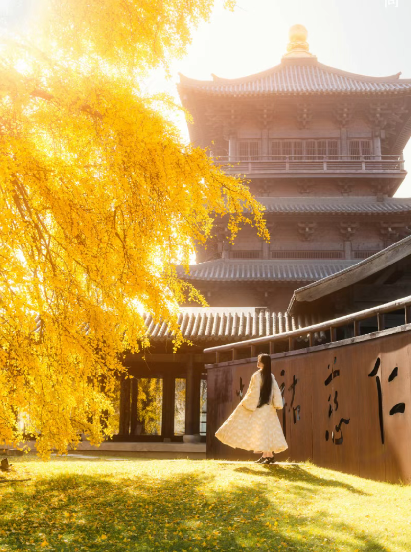 15959178174084.png 图片