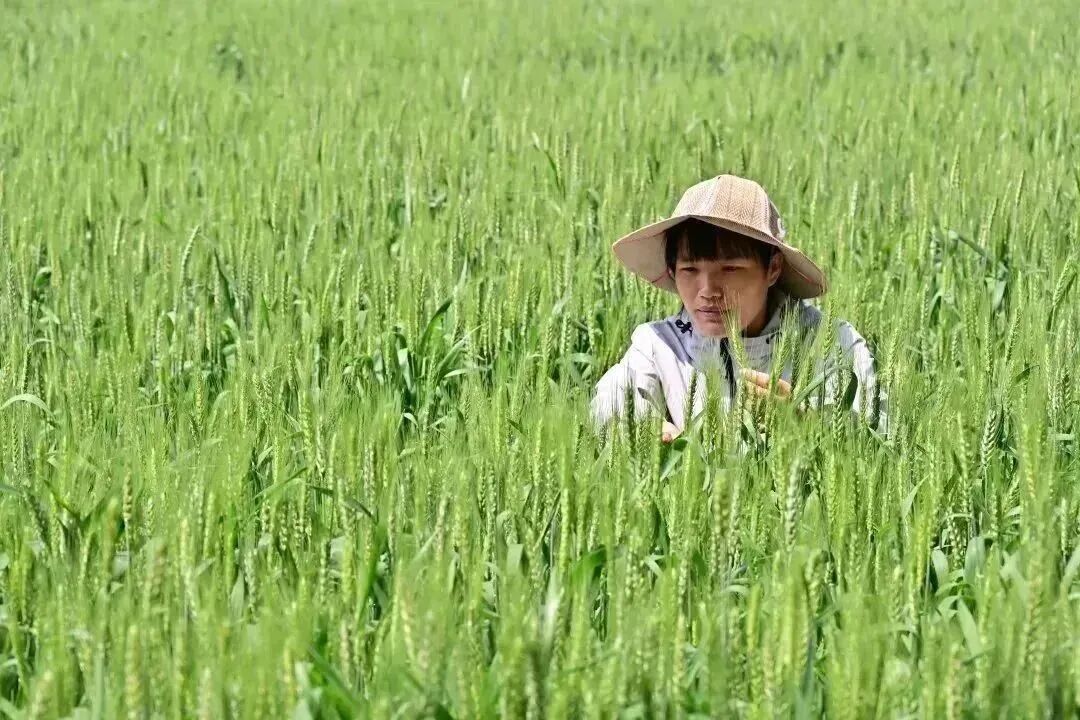 16094673459142.jpeg 图片